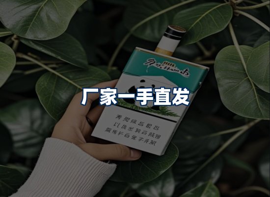 专业团队办公环境